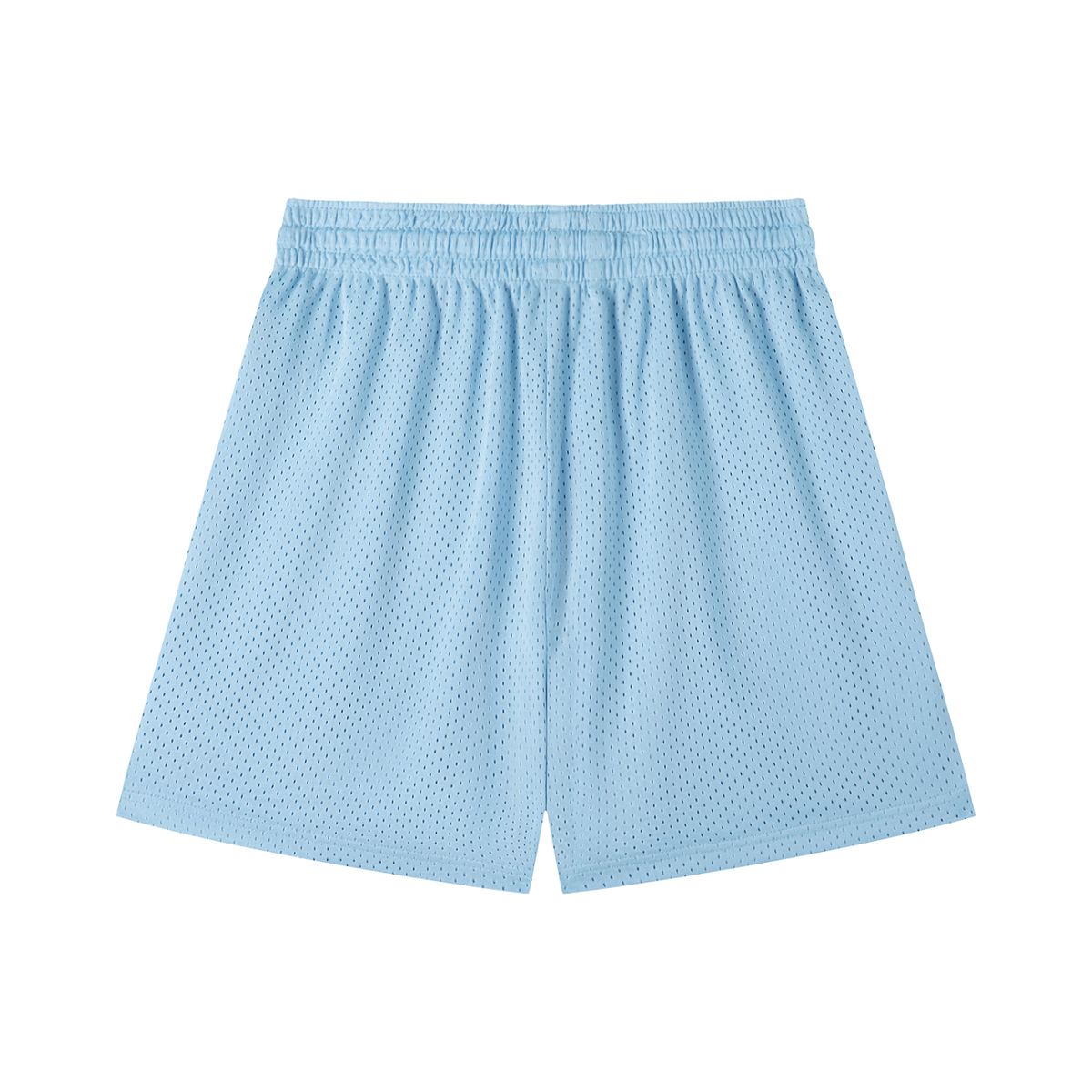 Mesh What Wee Wear Shorts