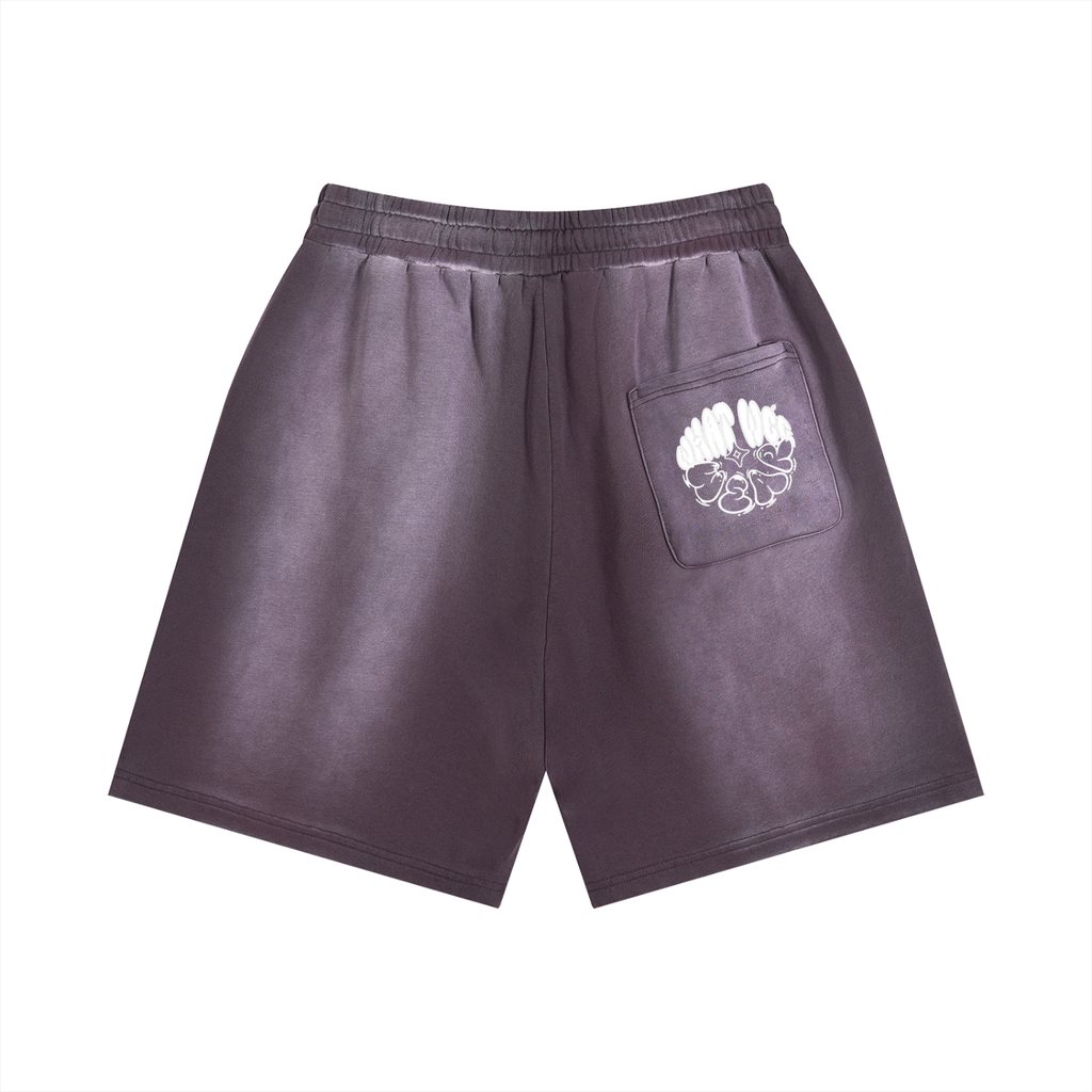 Sun Fade Distressed What Wee Wear Shorts