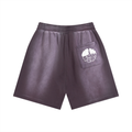 Sun Fade Distressed What Wee Wear Shorts